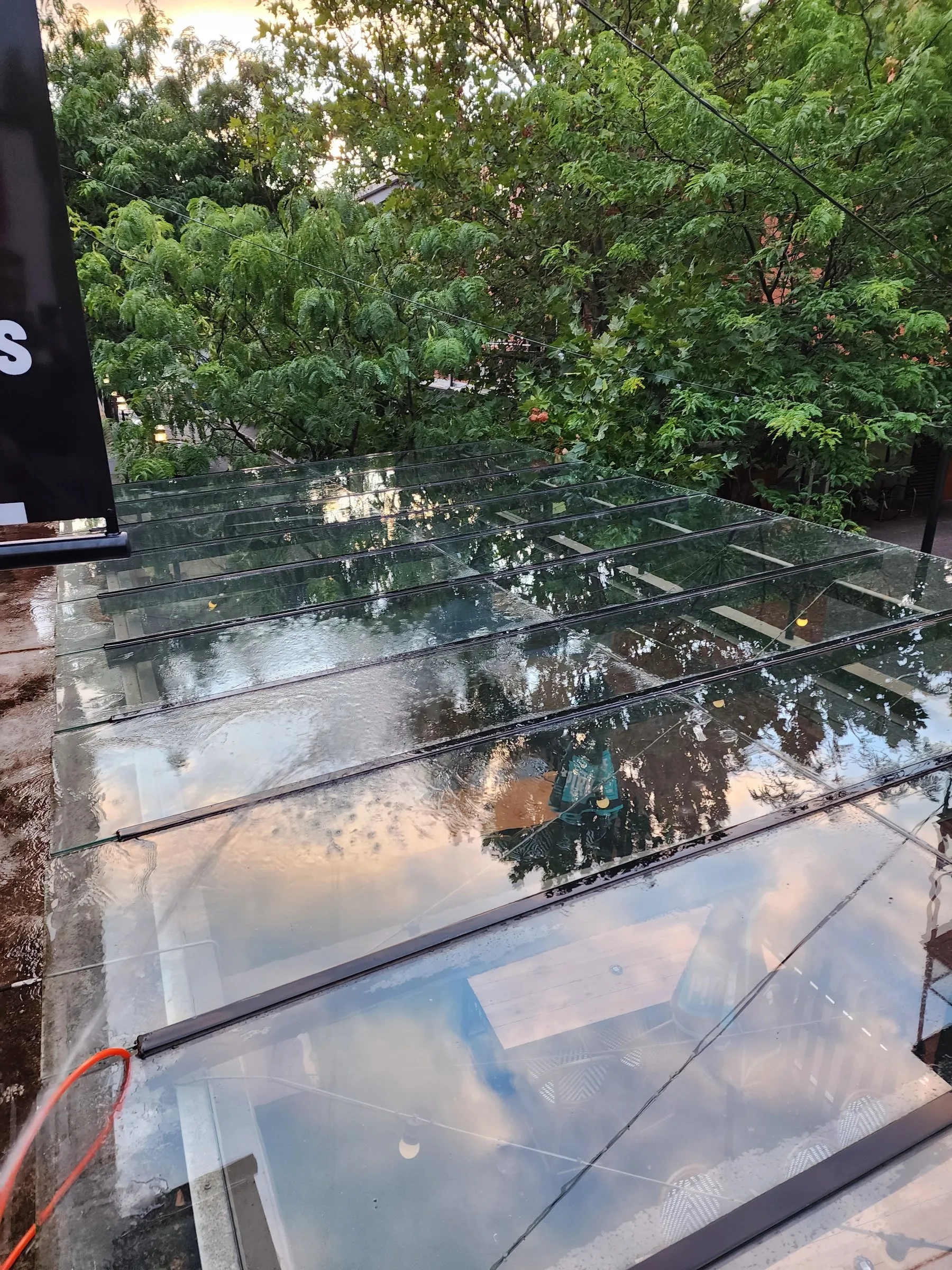 Glass roof panels after cleaning, with trees beyond