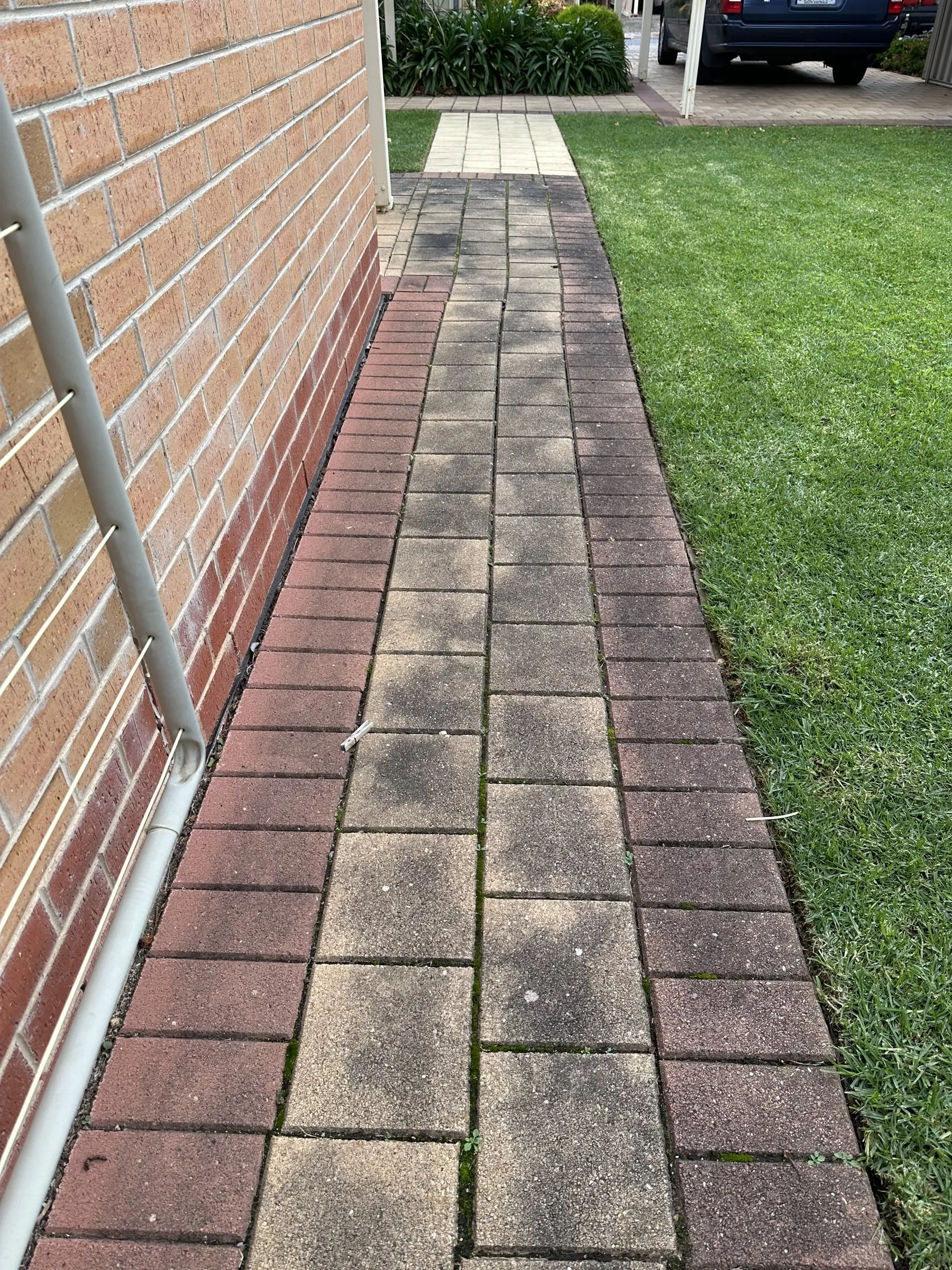 Brick paver path after pressure cleaning