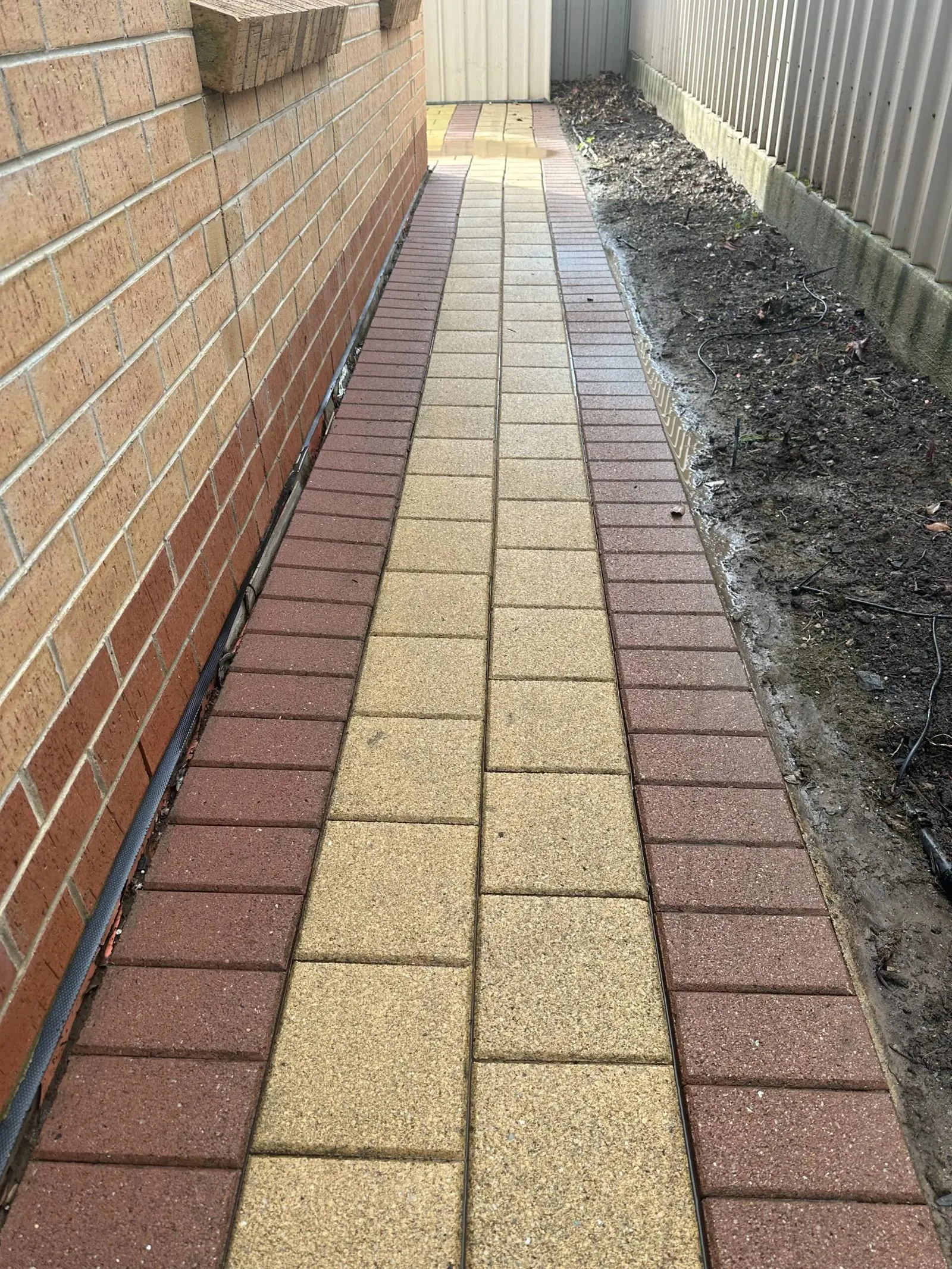 After: brick paver path, pressure cleaned