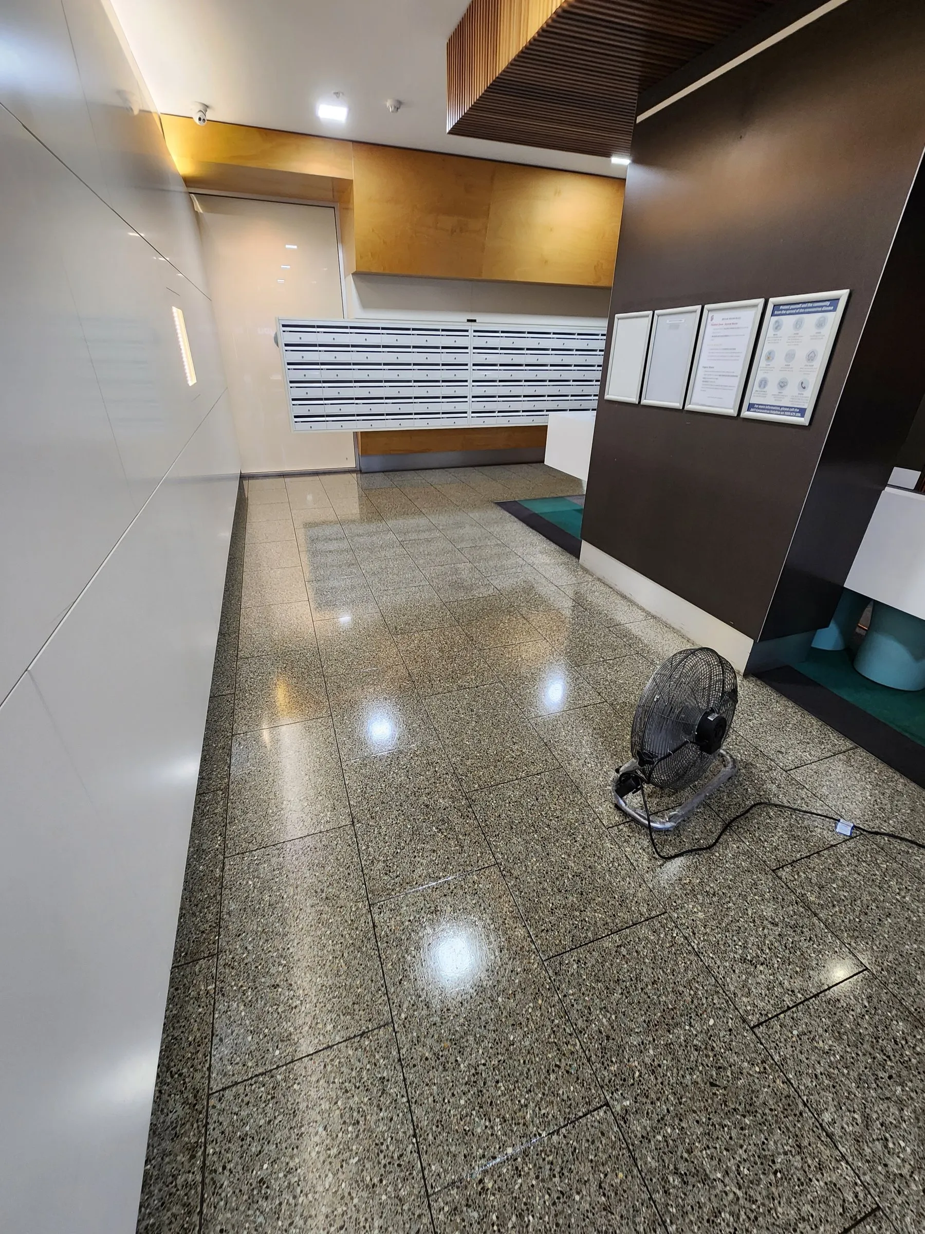 Glossy speckled terrazzo foyer after a machine scrub